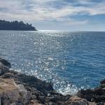 Lakshmi profile picture