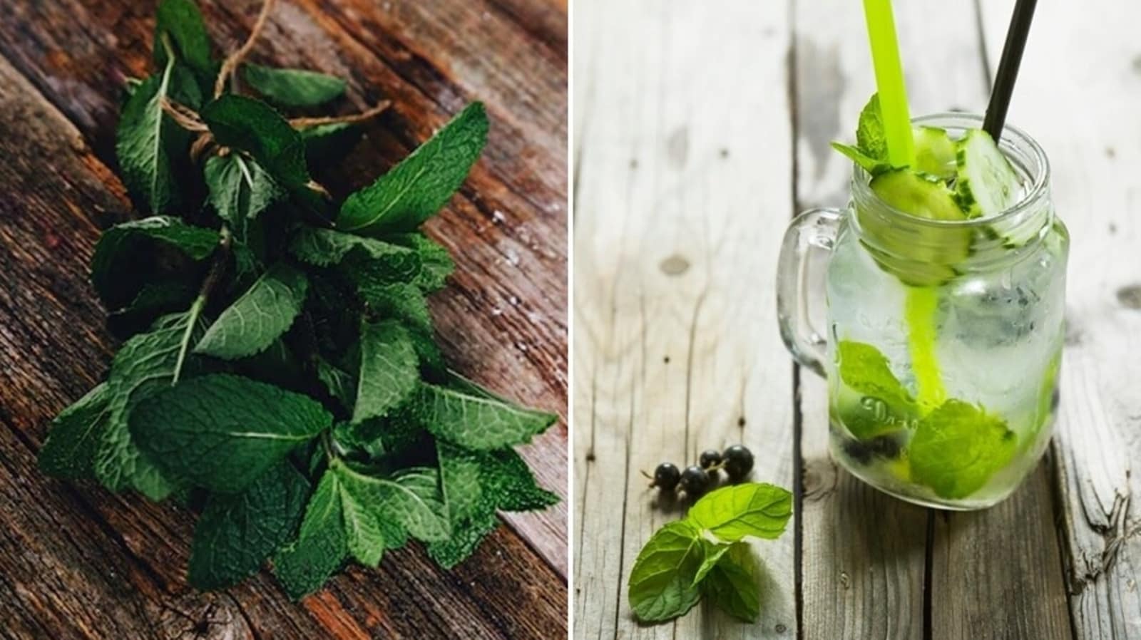 Beat the heat with Pudina: 6 amazing ways to include mint leaves in your summer diet | Health - Hindustan Times