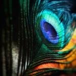 Geetanjali.k Profile Picture